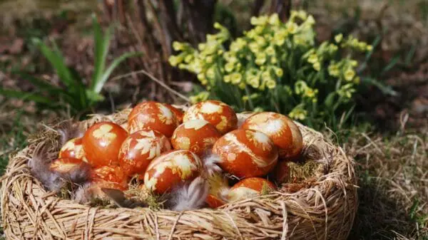 Grawirlacheier im Osternest